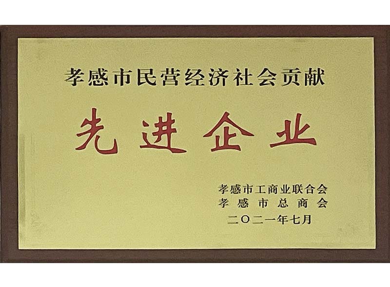 孝感市民營經濟社會貢獻-先進企業